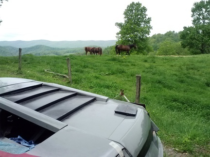 20160509190847-2d733d94