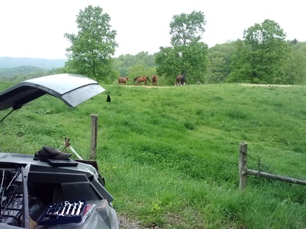 20160509191052-9ca2a277